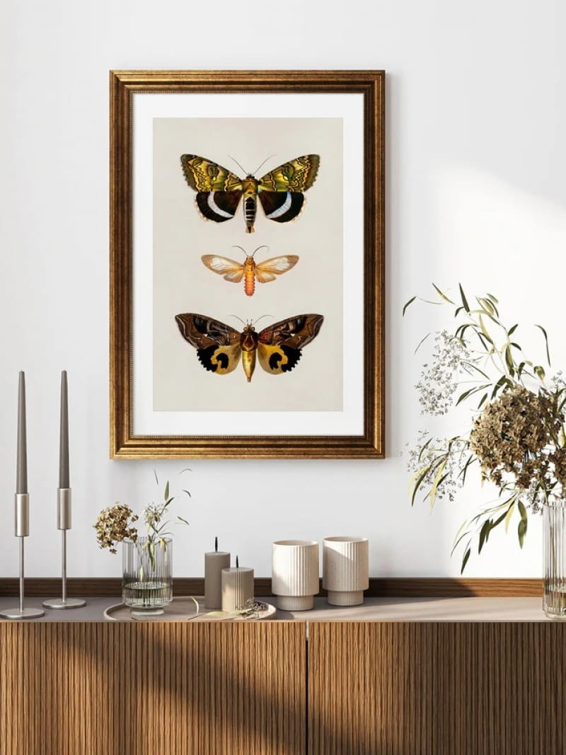 Oprawiony druk cyfrowy Papilio Oprawiony druk cyfrowy Papilio