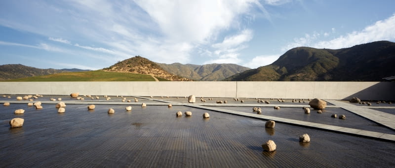 Winnica Vik w Millahue w Chile