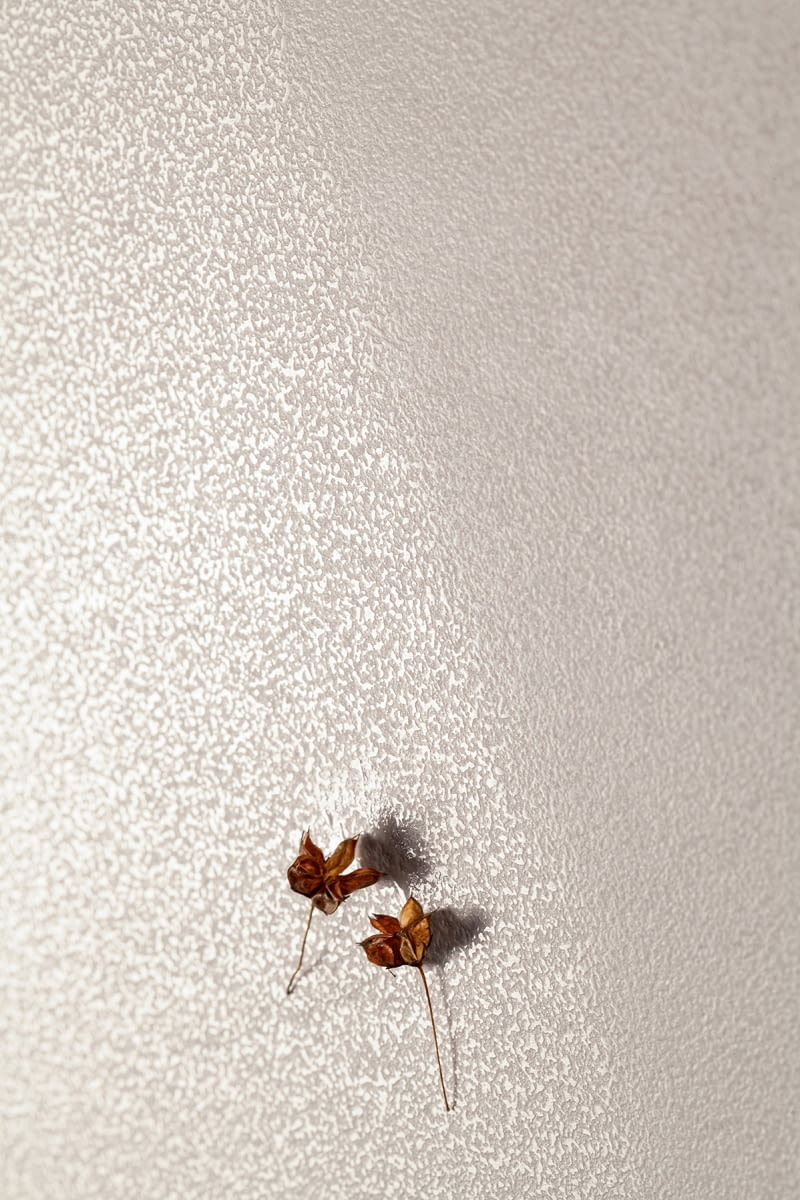 Biel w roli głównej: kolekcja płytek Tubądzin Albiano