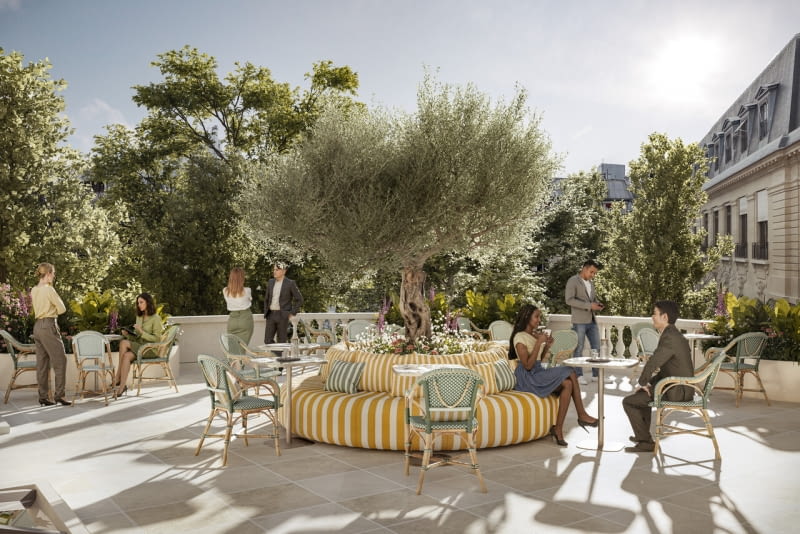 POTOCKI - taras POTOCKI - taras