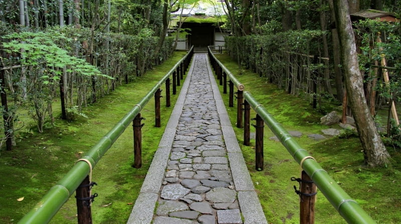 Projekt "RE-GROWTH" Projekt "RE-GROWTH"