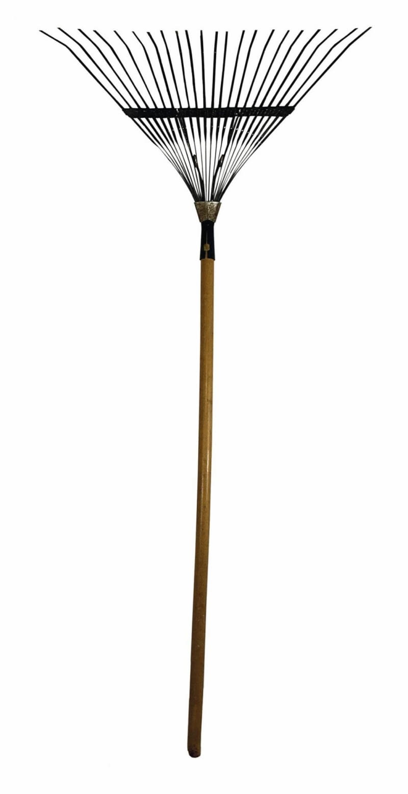 Grabie z szeroko rozstawionymi zębami.