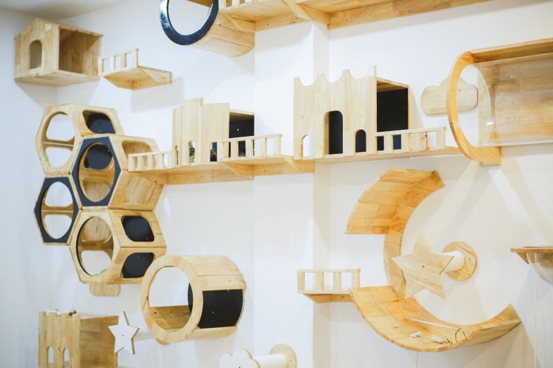 Koci raj w mieszkaniu