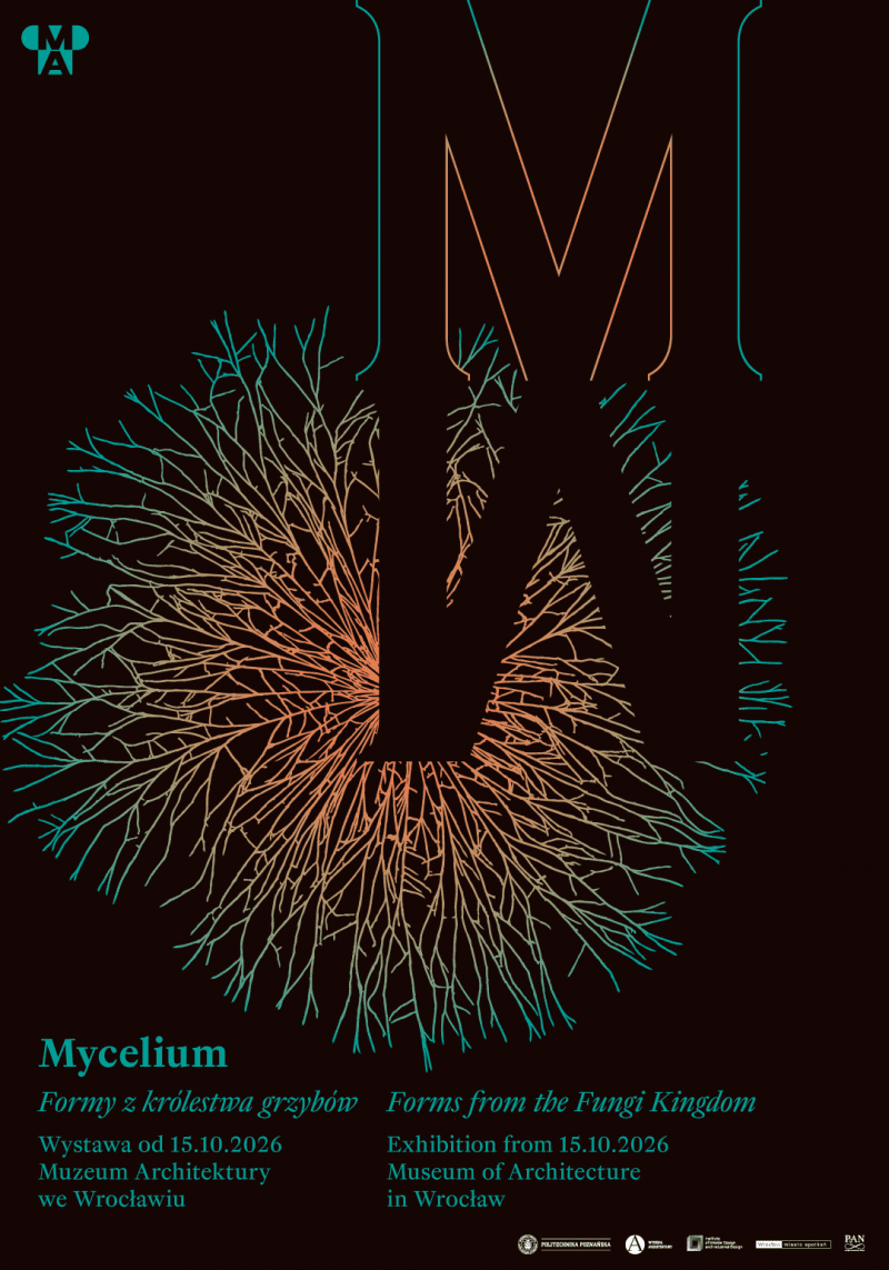 Mycelium. Formy z królestwa grzybów Mycelium. Formy z królestwa grzybów