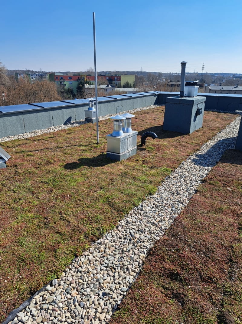 Zielone dachy na osiedlu Nadolnik w Poznaniu