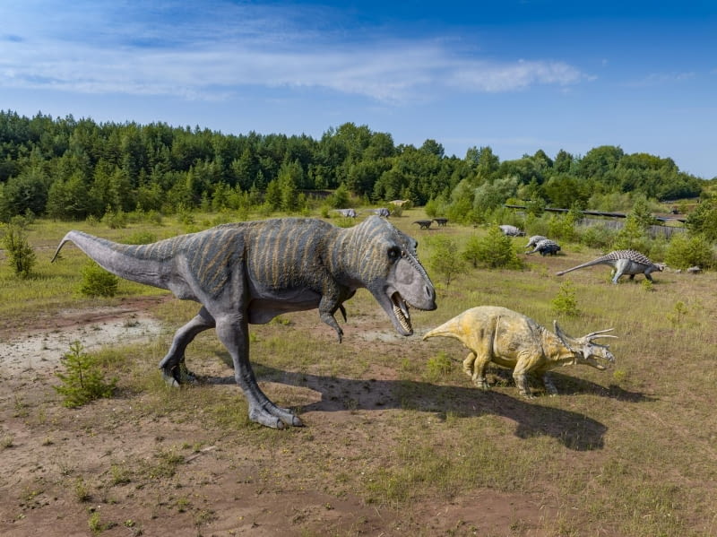 Tyrannosaurus rex (T-rex) i triceratops - żyły pod koniec okresu kredy Tyrannosaurus rex (T-rex) i triceratops - żyły pod koniec okresu kredy