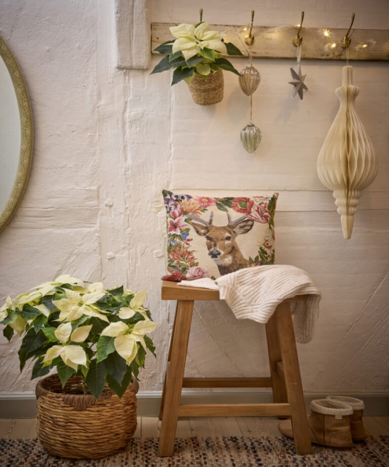 Kremowe poinsecje w koszach z rattanu, ciepłe drewniane akcenty i miękkie tkaniny tworzą przytulną atmosferę.