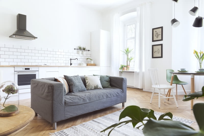 Skandynawski salon z kuchnią