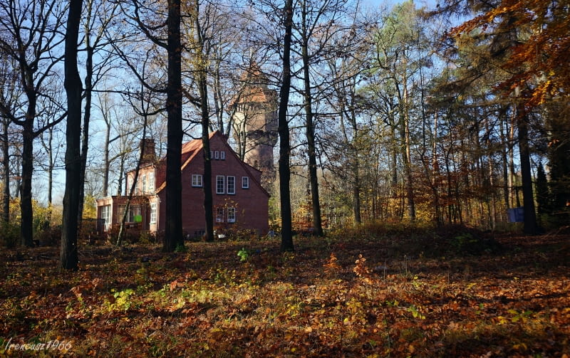 Kolonia amerykańska w Katowicach Kolonia amerykańska w Katowicach