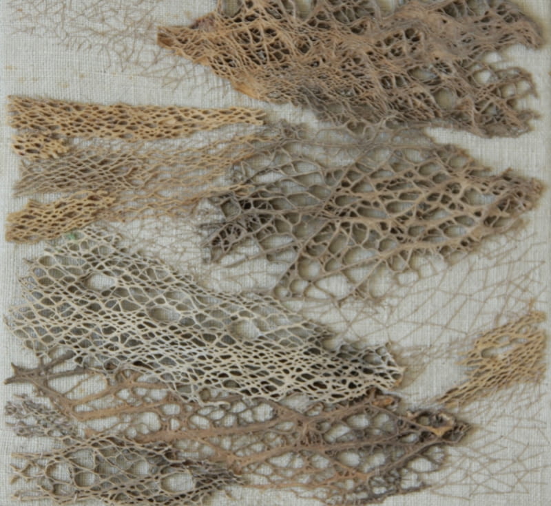 Kazimiera Frymark-Błaszczyk, KFB-101, 1992, haft, aplikacja, len, bawełna, kaktus, miniatura tkacka z kolekcji Ireny Huml