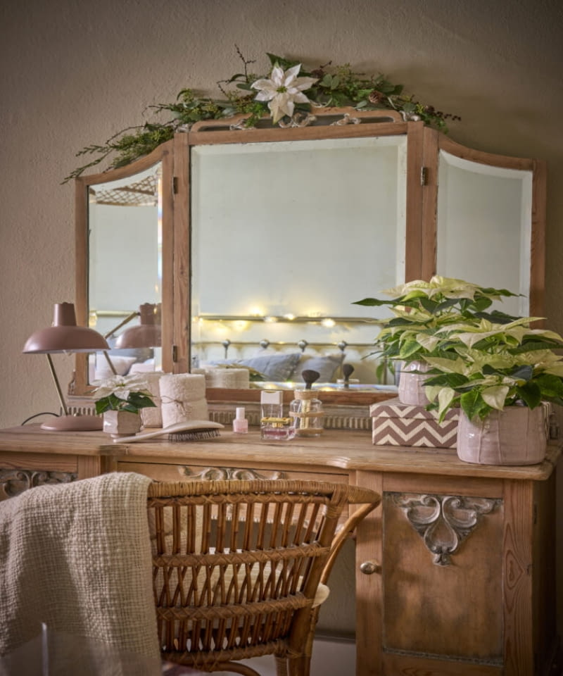 Poinsecje w odcieniach kremu i bieli, połączone z ciepłymi, naturalnymi barwami, dodają świątecznego klimatu toaletce i tworzą przyjemną atmosferę. Poinsecje w odcieniach kremu i bieli, połączone z ciepłymi, naturalnymi barwami, dodają świątecznego klimatu toaletce i tworzą przyjemną atmosferę.