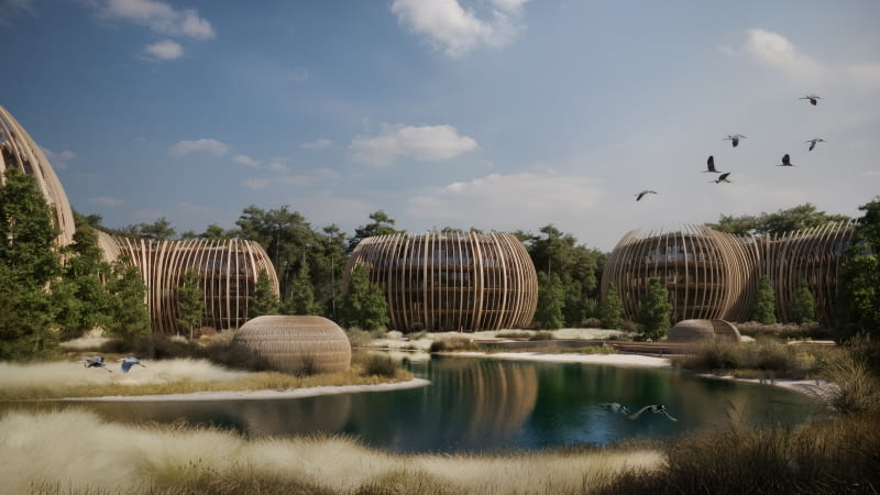 Silva Maris na Wyspie Sobieszewskiej