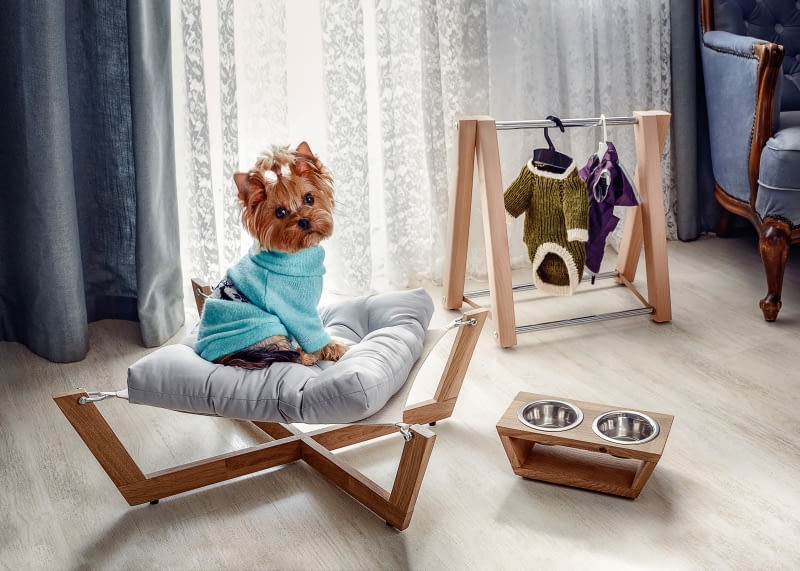 Eleganckie meble dla psów