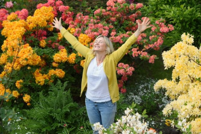 HGTV HOME & GARDEN bije rekordy oglądalności! HGTV HOME & GARDEN bije rekordy oglądalności!