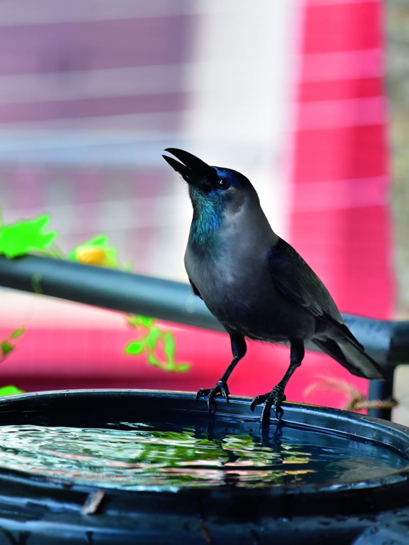 Mając świadomość, że grozi nam susza i woda  staje się coraz bardziej cenna, racjonalne gospodarowanie jej zasobami jest naszą powinnością w stosunku do środowiska naturalnego