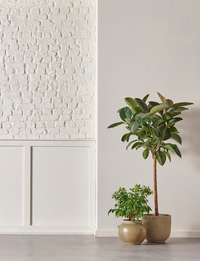 Kamień na ścianie Kamień na ścianie