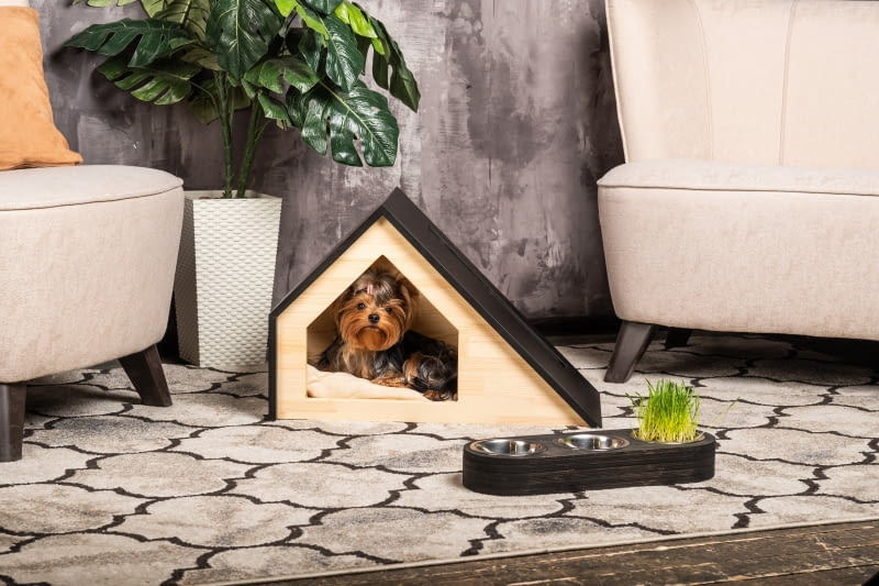 Eleganckie meble dla psów