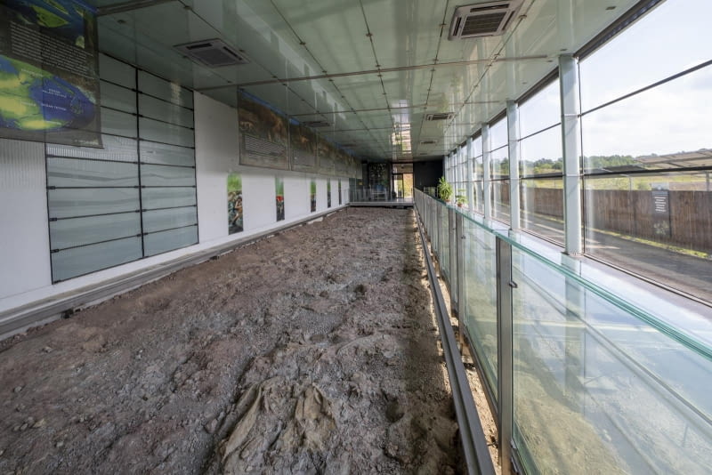 Pawilon Paleontologiczny