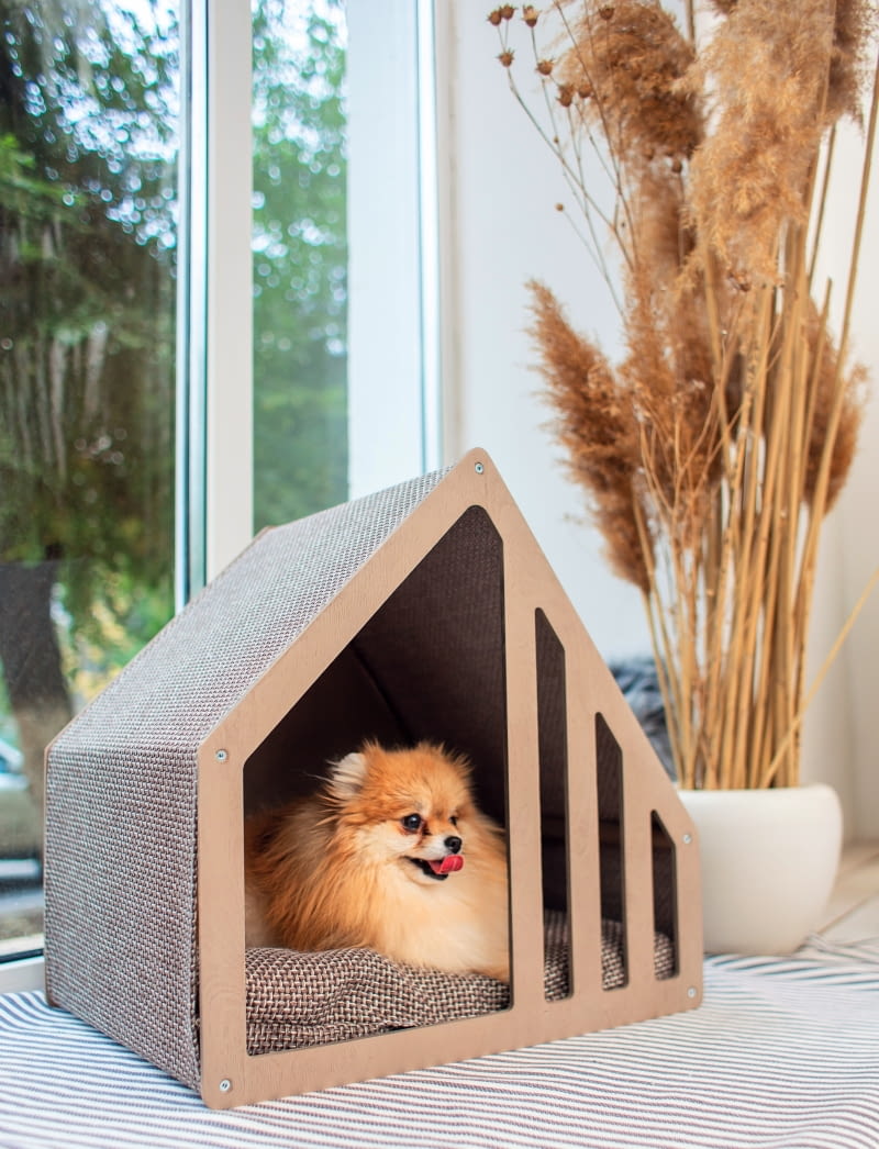 Eleganckie meble dla psów