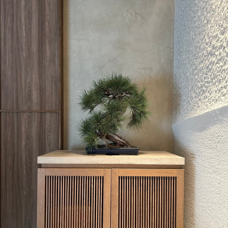 Jasny dom pełen japońskich i skandynawskich akcentów Jasny dom pełen japońskich i skandynawskich akcentów