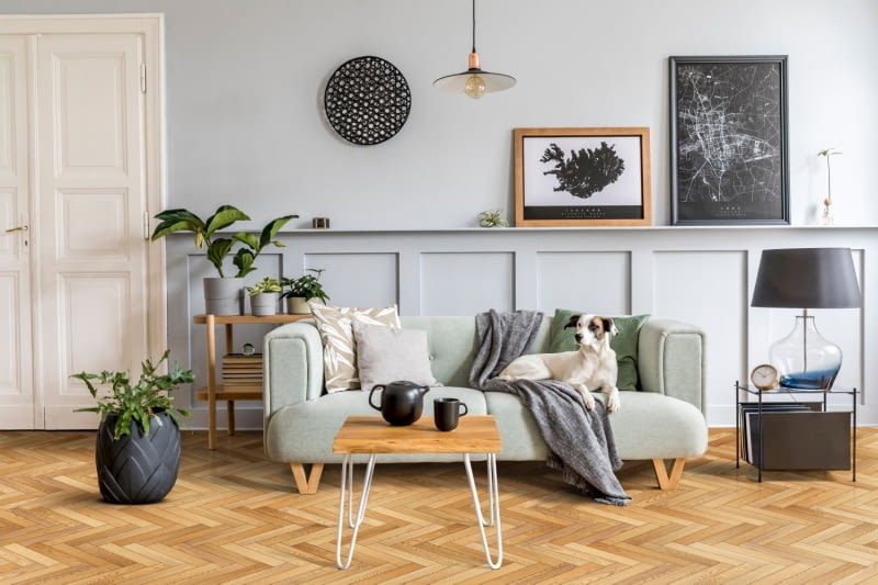 Na co zwrócić uwagę przed wynajęciem mieszkania? Na co zwrócić uwagę przed wynajęciem mieszkania?