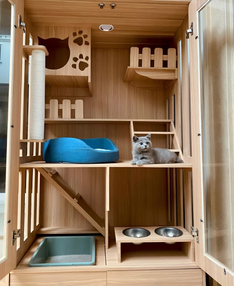 Koci raj w mieszkaniu