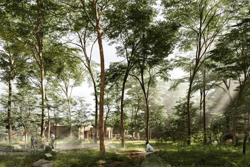 Xylopolis - Centrum Sztuki i Nauki o Drewnie w Hajnówce. Proj. WXCA Xylopolis - Centrum Sztuki i Nauki o Drewnie w Hajnówce. Proj. WXCA