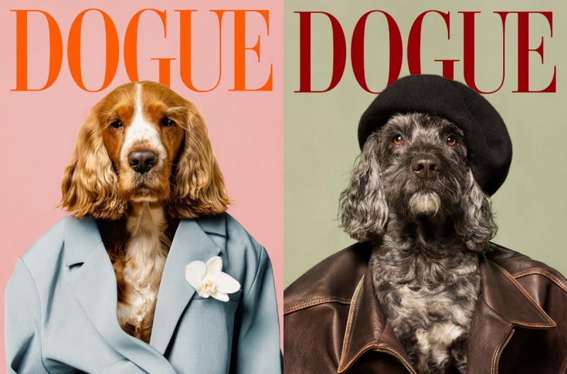 Dogue Plakat / https://desenio.pl/