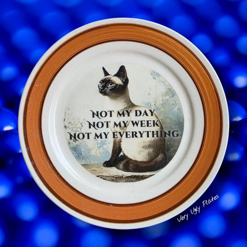VERY UGLY PLATES VERY UGLY PLATES