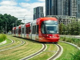 Parramatta Light Rail - zielone torowisko w Sydney