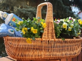 COMPO BIO AQUA DEPOT – rewolucja w gospodarowaniu wodą w uprawie roślin