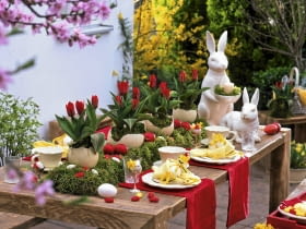 Oster - Tischdeko mit Tulpen : Tulipa ( Tulpen ) in Straußeneiern auf Moosbett, Keramik - Osterhasen, Ostereier in rot und weiß Möbel : Holzwerk - A, info@holzwerk-a.de 0551 - 3883148 61020757 Ausschnitt SLOWA KLUCZOWE: 000 Eier Hasen Ostern Terrasse Tisch Tischdekoration Topf ZZZ draussen gelb quer rot