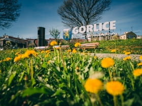 Gorlice