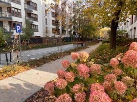 Nowy woonerf na ul. Brandysa