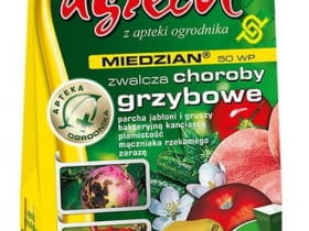 Miedzian