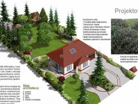 Projekt ogrodu w zaciszu jodeł