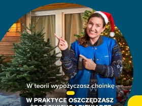Świąteczna wypożyczalnia choinek w sklepach Castorama