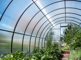 Na co zwrócić uwagę, kupując szklarnię ogrodową?