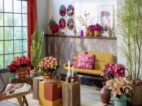 Mocne kolory, naturalne materiały i wyraziste wzory tworzą klimat inspirowany meksykańską codziennością – pełen energii, radości i zaskakującej różnorodności.