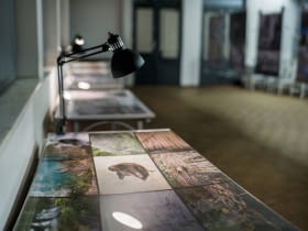 Wystawa „Zdjęcia Architektów" w Przystanku Architektura