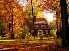 Kolonia amerykańska w Katowicach