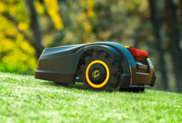 Jak cieszyć się pięknym trawnikiem