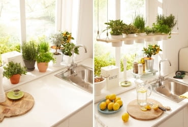 Zielnik w kuchni krok po kroku