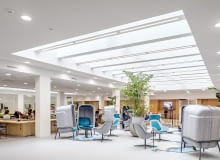 NL Faculty of Law, University of Groningen