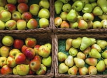 Do dłużeszego przechowywania wybieramy tylko owoce bez uszkodzeń i bez objawów chorób Do dłużeszego przechowywania wybieramy tylko owoce bez uszkodzeń i bez objawów chorób