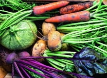 Morinka shutterstock