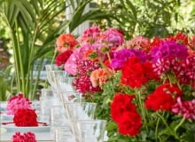 Dekoracja stołu pelargoniami Dekoracja stołu pelargoniami