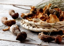 Jak suszyć grzyby Jak suszyć grzyby