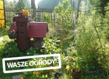 Ogród piękny o każdej porze. Ogród piękny o każdej porze.