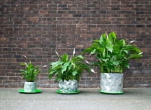 Niezwykłe doniczki na kwiaty domowe